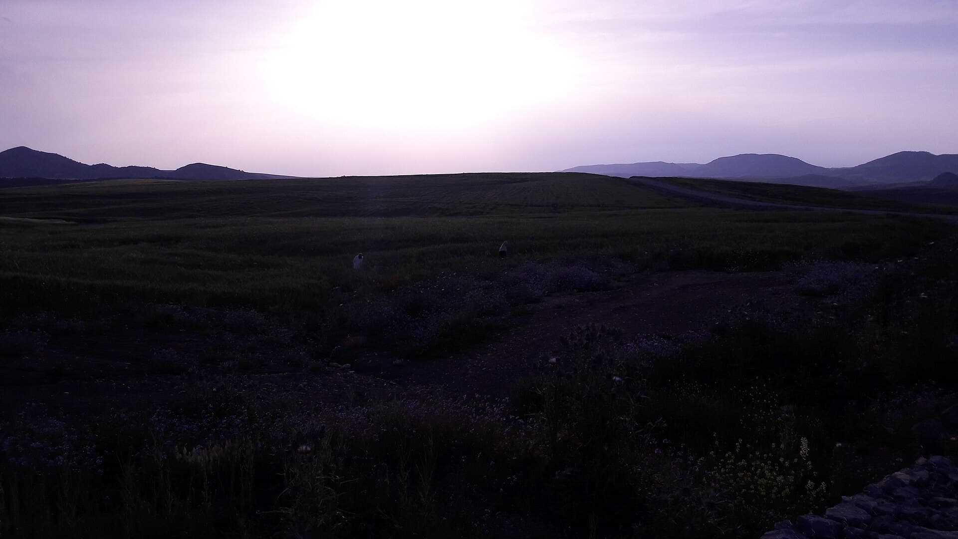 Algeria landscape — Wildfires in Algeria