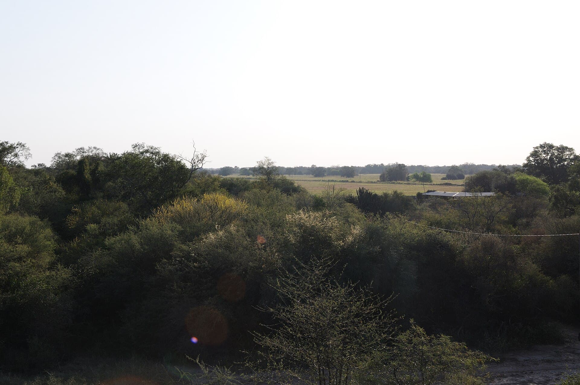 Paraguay landscape — Wildfires in Paraguay