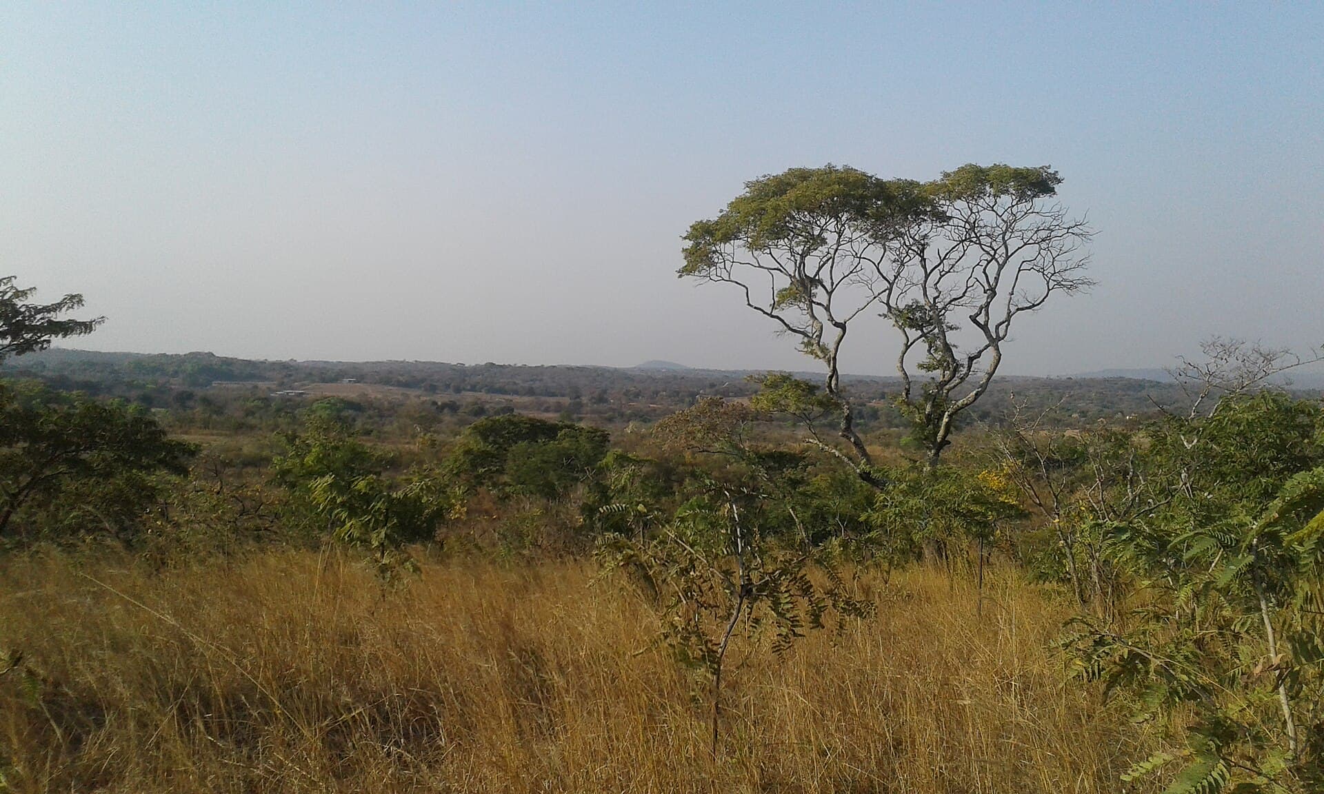 Zambia landscape — Wildfires in Zambia