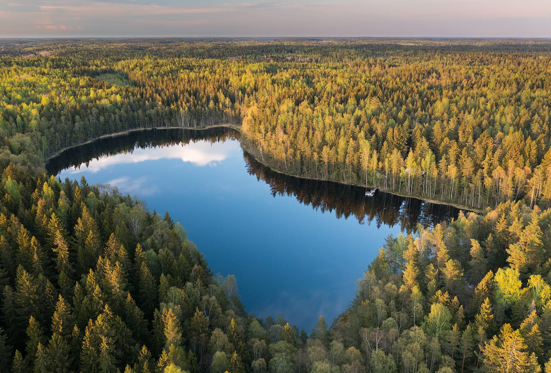 Finland landscape — Wildfires in Finland
