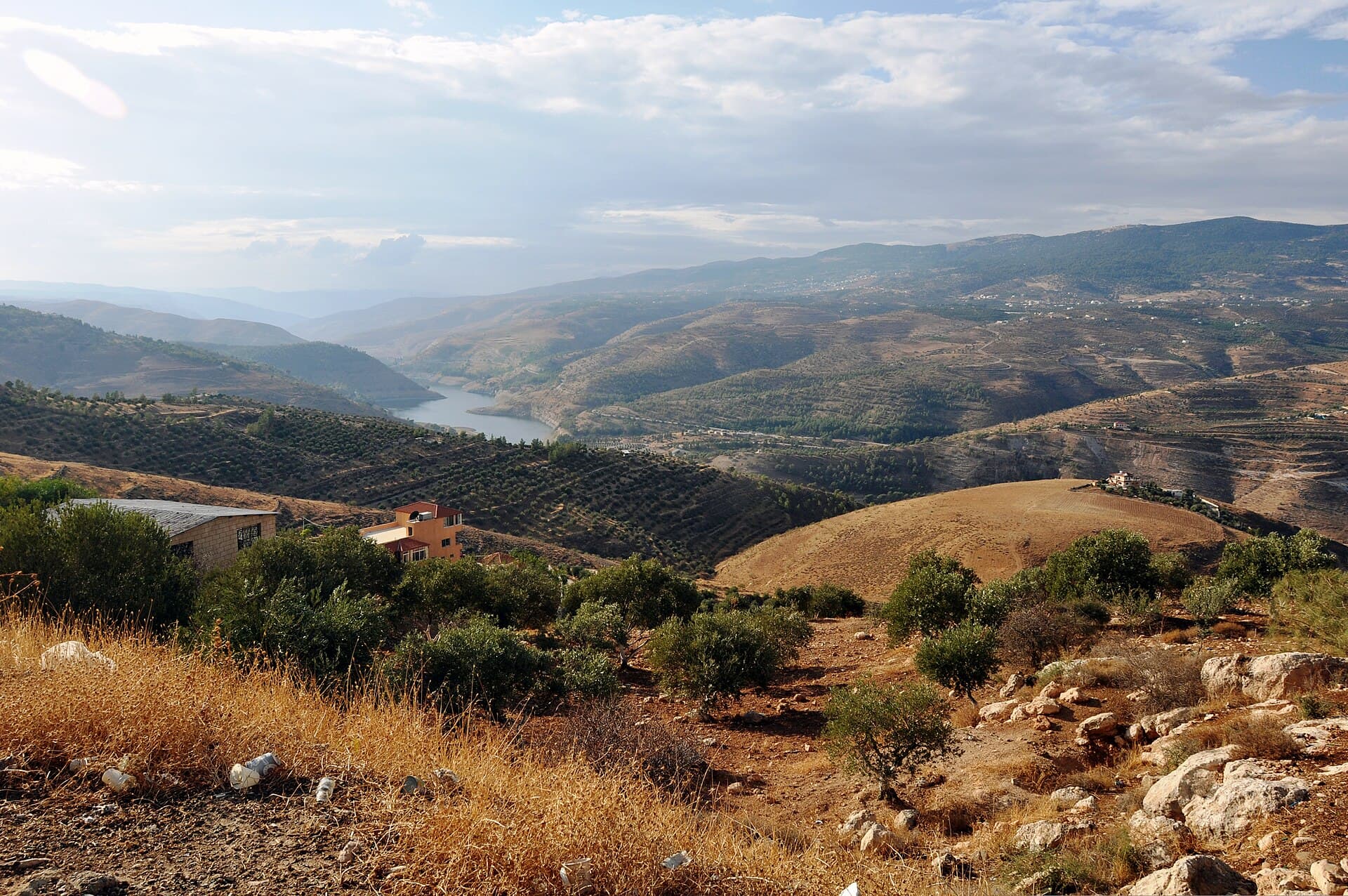 Jordan landscape — Wildfires in Jordan