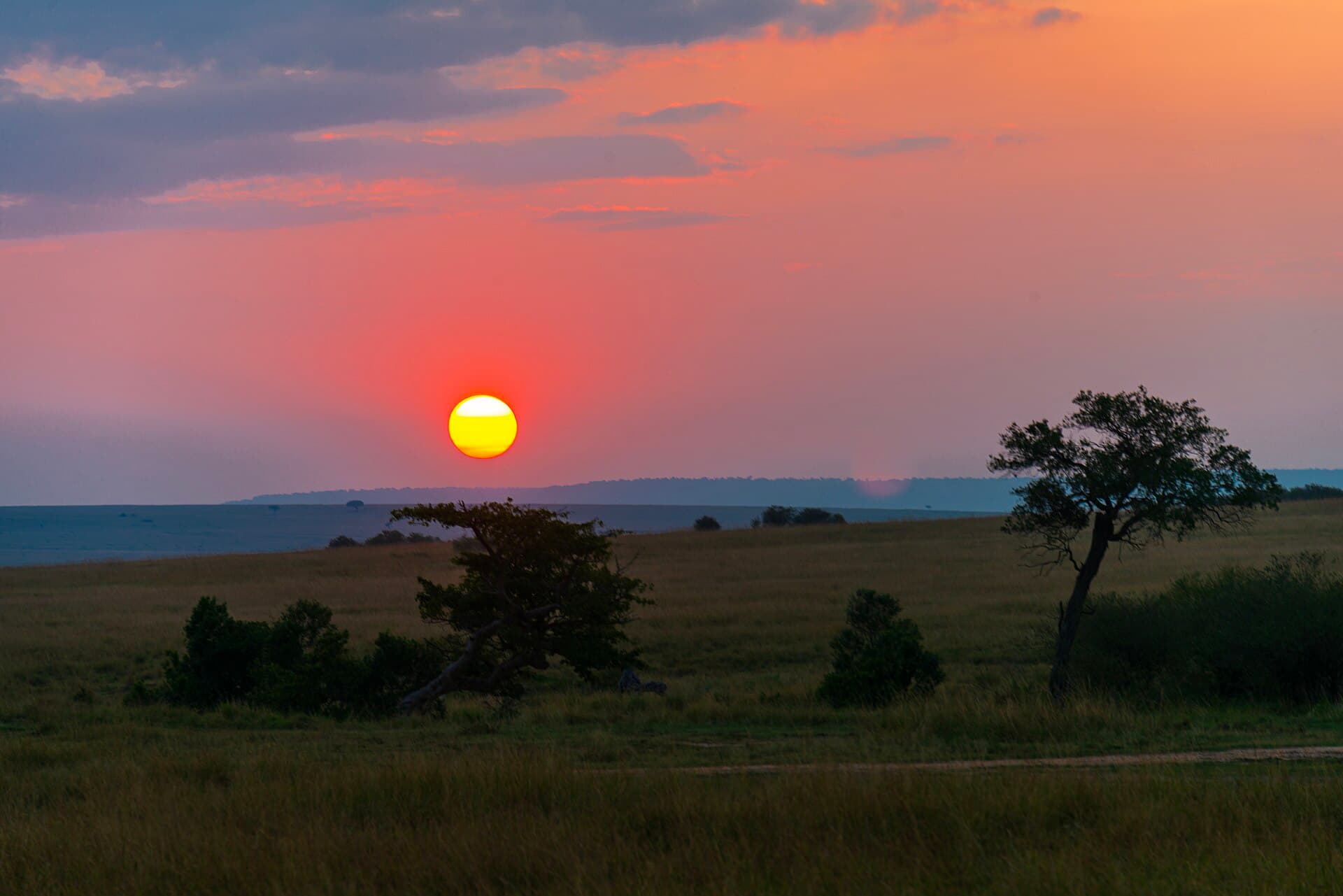 Kenya landscape — Wildfires in Kenya