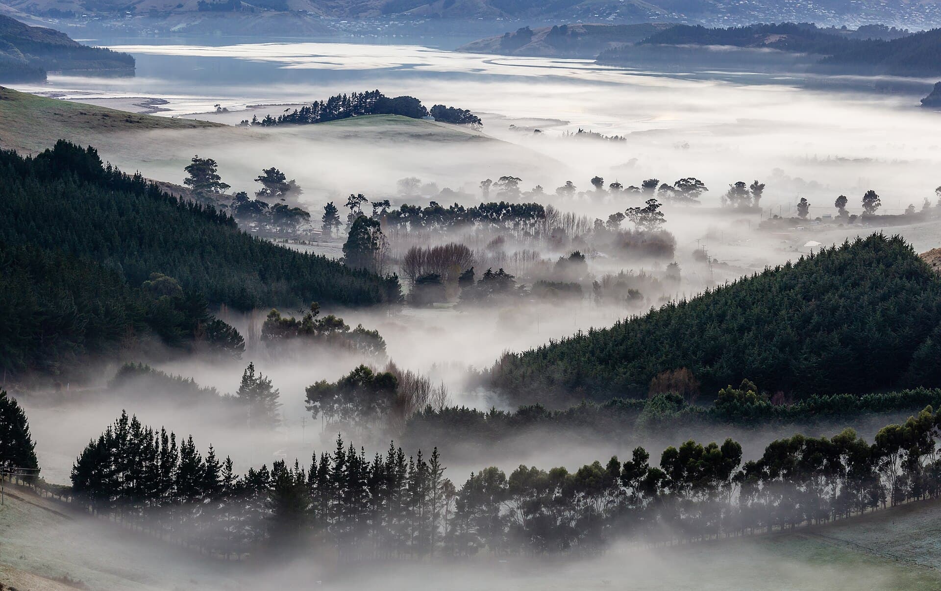 New Zealand landscape — Wildfires in New Zealand