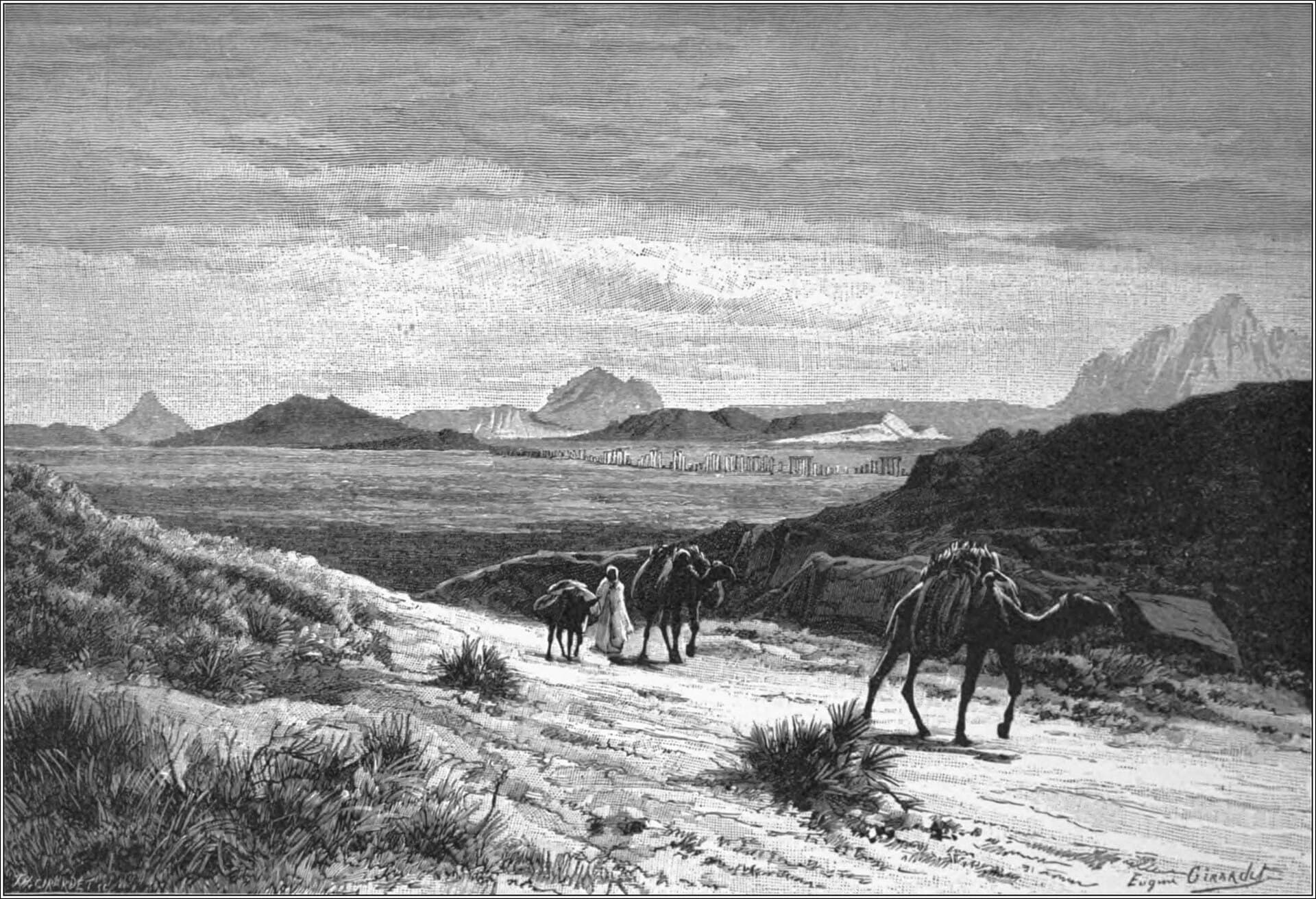 Tunisia landscape — Wildfires in Tunisia